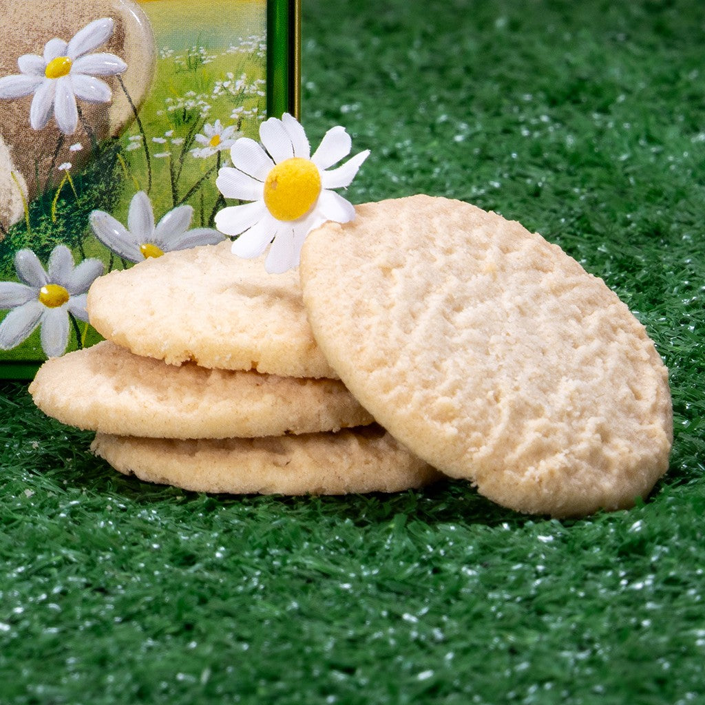 Embossed Lucy Pittaway Double Trouble Sheep Tin