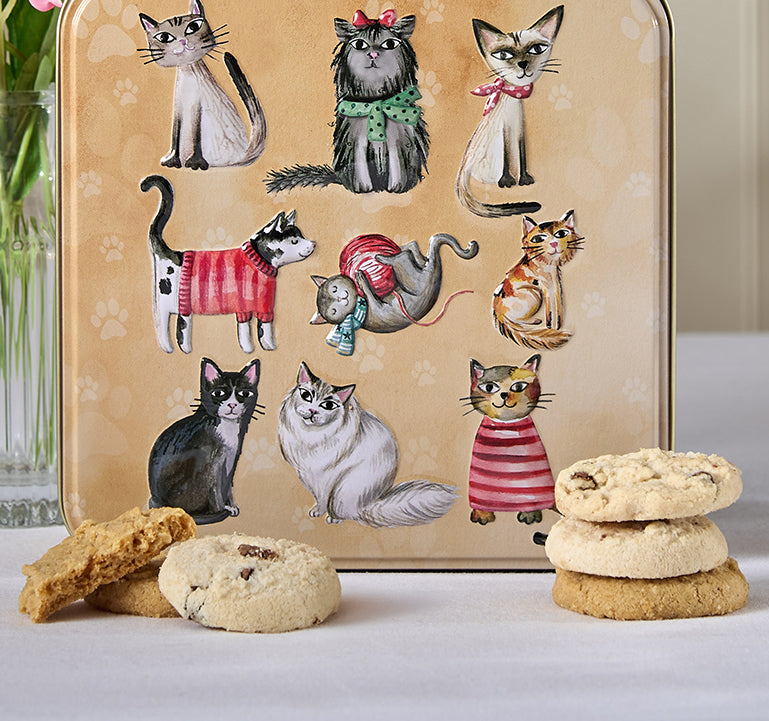 Embossed Cats in Jumpers Tin
