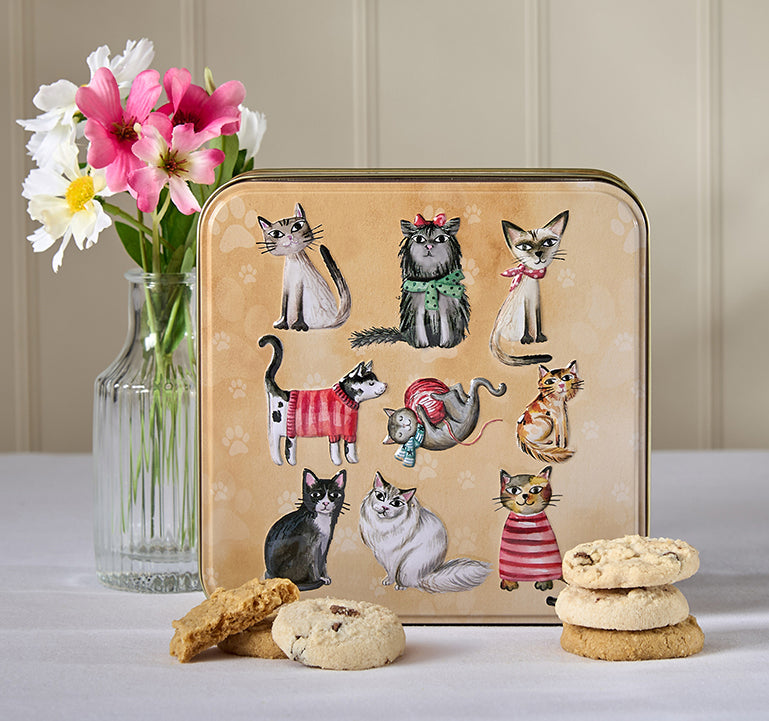Embossed Cats in Jumpers Tin