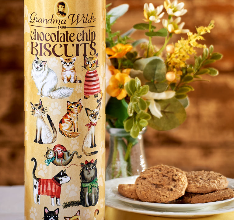 Cats in Jumpers Giant Tube