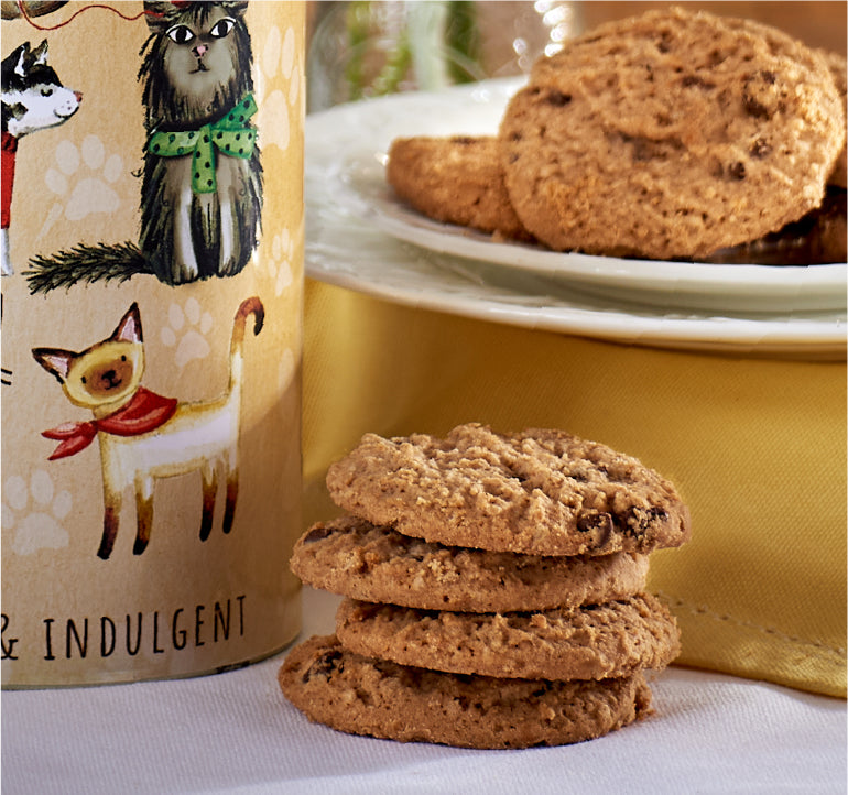 Cats in Jumpers Giant Tube