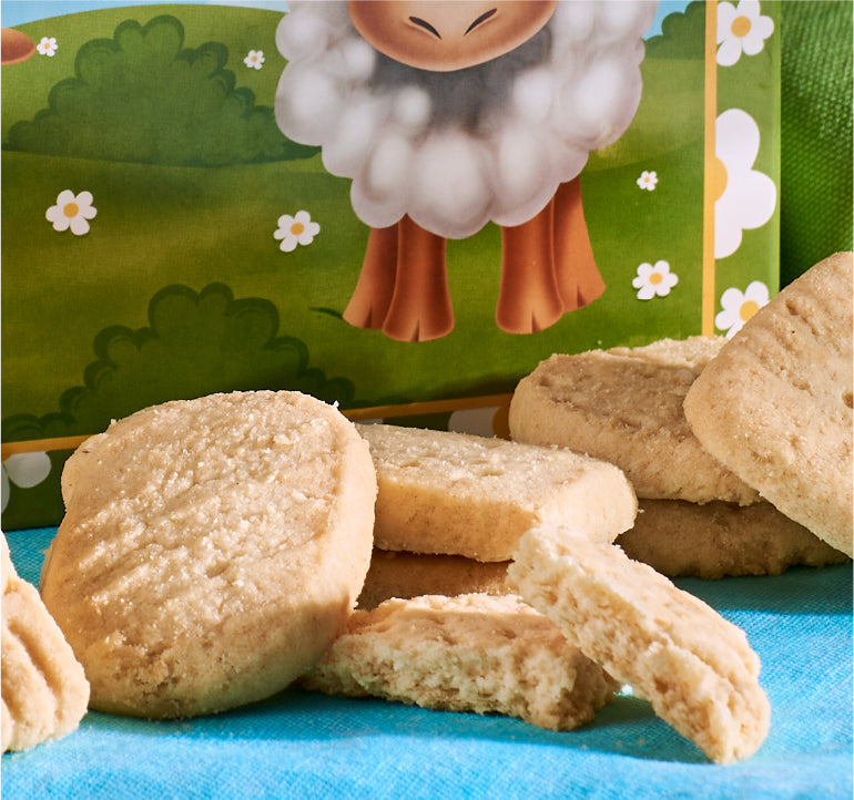 Spring Sheep & Lamb Box