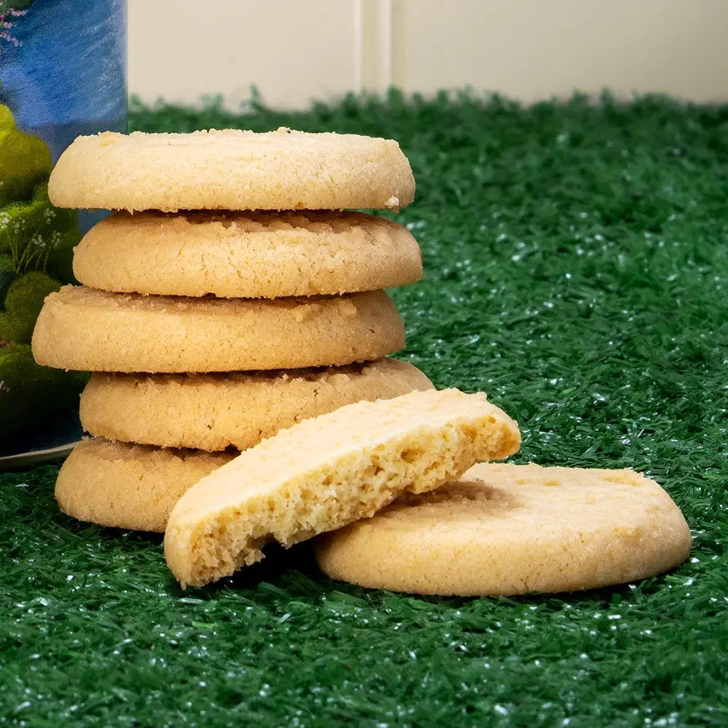 Lucy Pittaway Yorkshire Life Tube