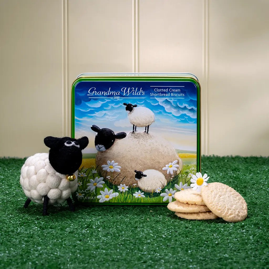 Embossed Lucy Pittaway Double Trouble Sheep Tin