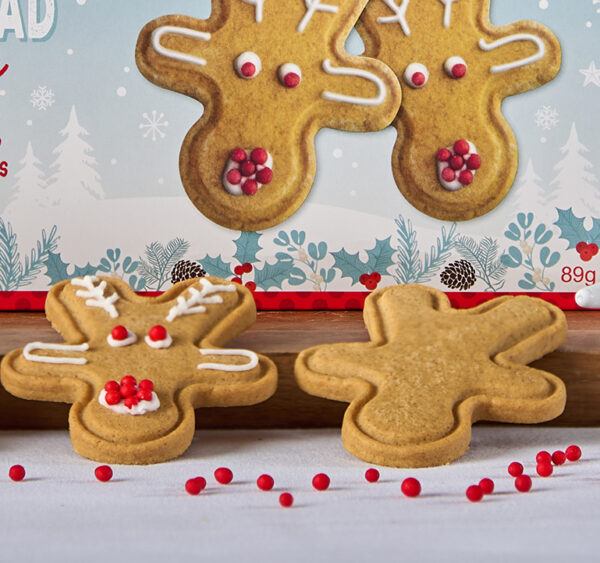 Gingerbread Reindeer Biscuits Decorating Kit - Image 3