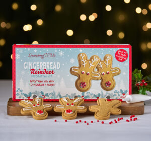 Gingerbread Reindeer Biscuits Decorating Kit