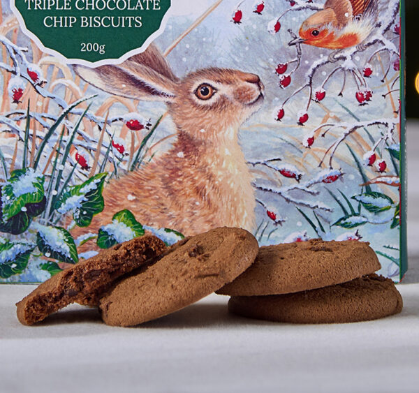 Hare & Robin Box - Image 3
