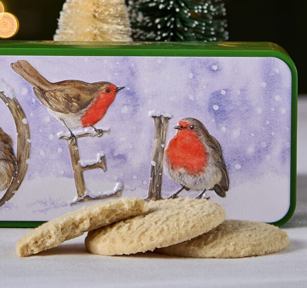 Embossed Robin Noel Tin - Image 3